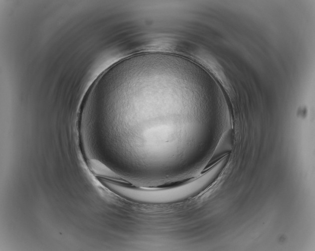 X0000097831434200803141135