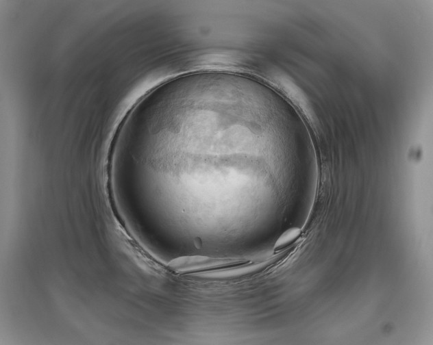 X0000097831435200803141135