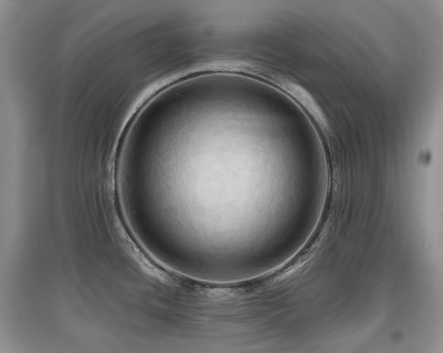 X0000097831436200803141135