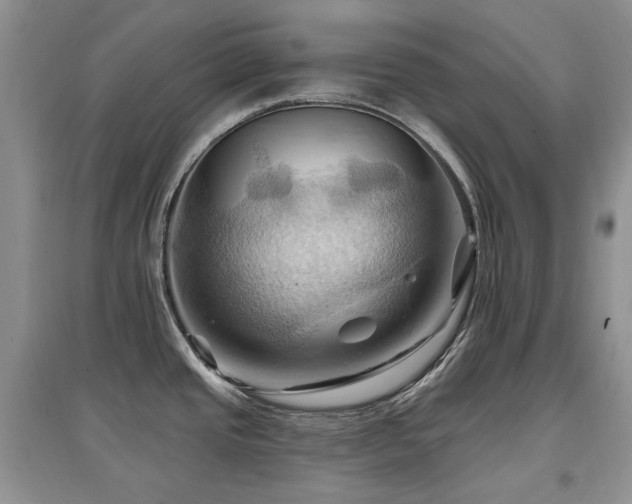 X0000097831437200803141135
