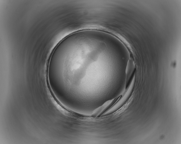 X0000097831438200803141135