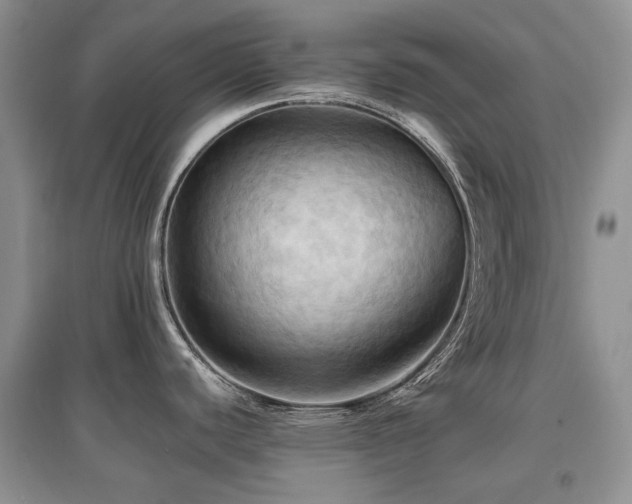 X0000097831440200803141135