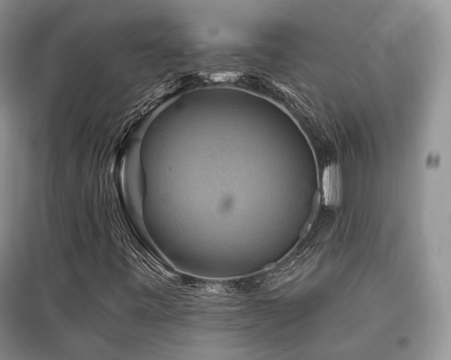 X0000097831443200803141134