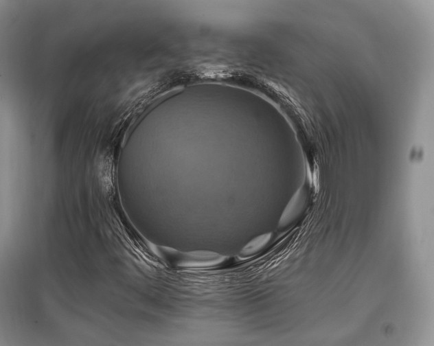 X0000097831444200803141134