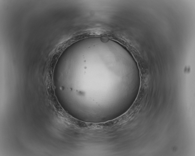 X0000097831446200803141134