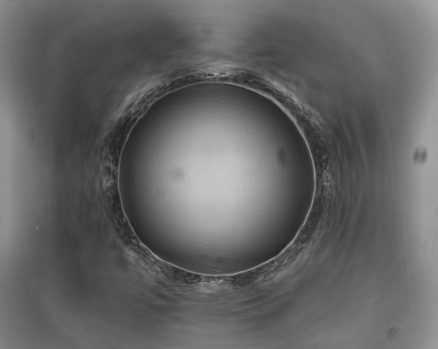 X0000097831447200803141134