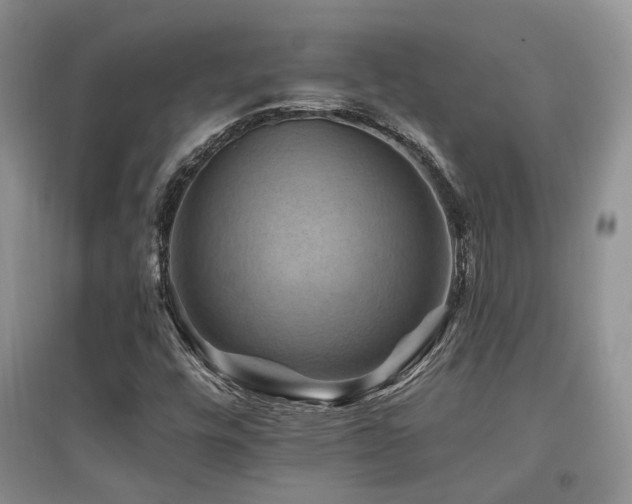 X0000097831448200803141134