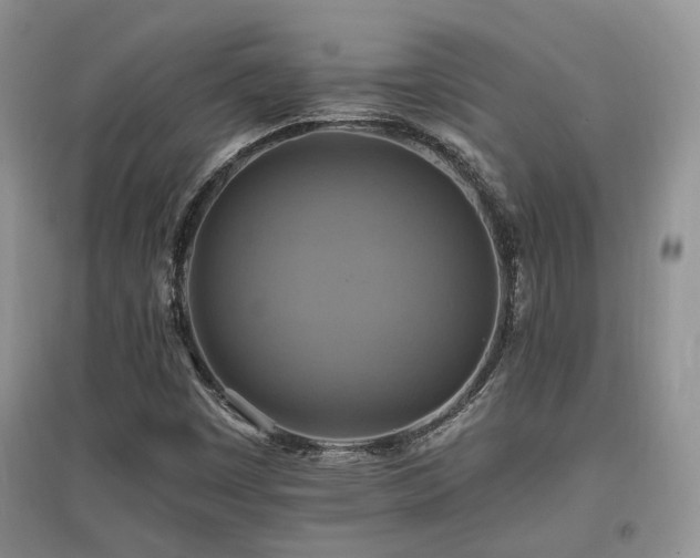 X0000097831449200803141134