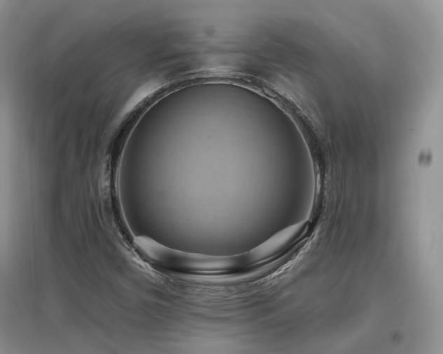 X0000097831450200803141134