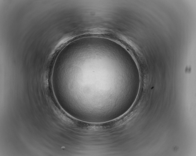 X0000097831451200803141134