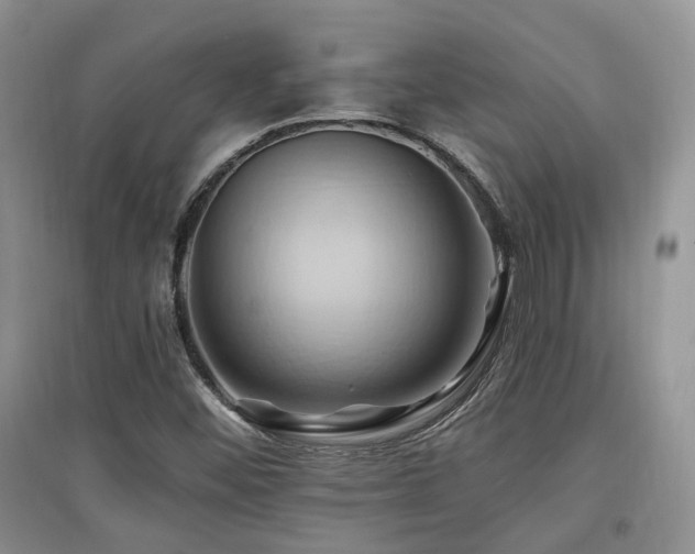 X0000097831452200803141134