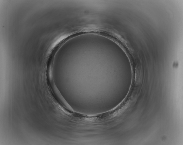 X0000097831453200803141134