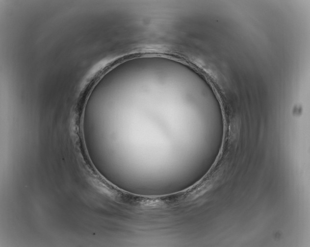 X0000097831454200803141134