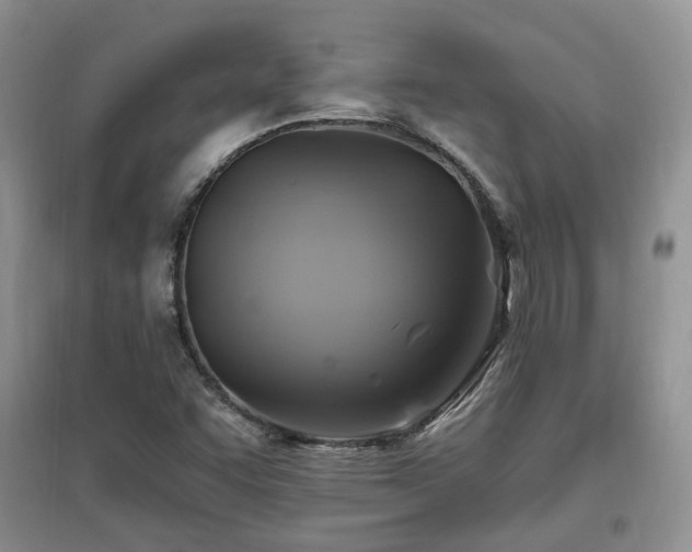 X0000097831455200803141134