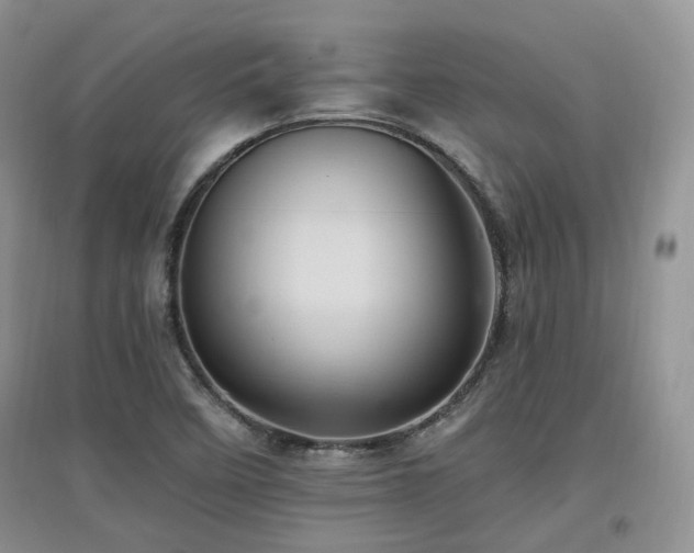 X0000097831458200803141134