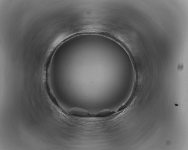 X0000097831459200803141134