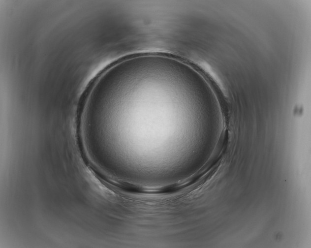 X0000097831460200803141134