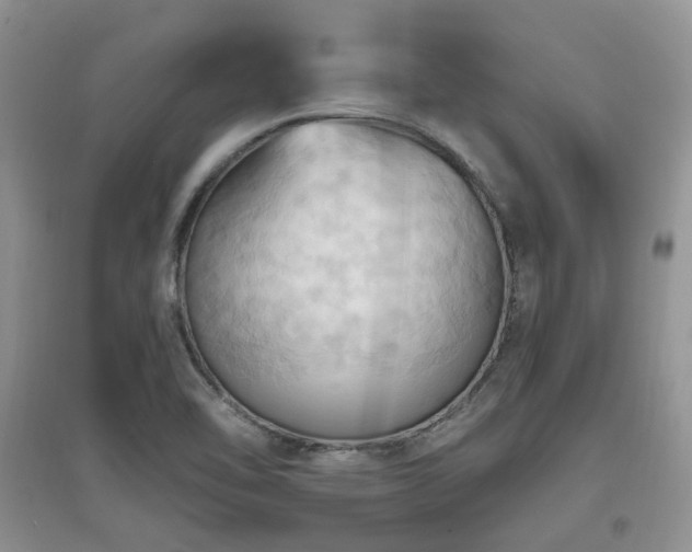 X0000097831462200803141134