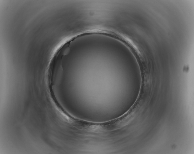 X0000097831463200803141134