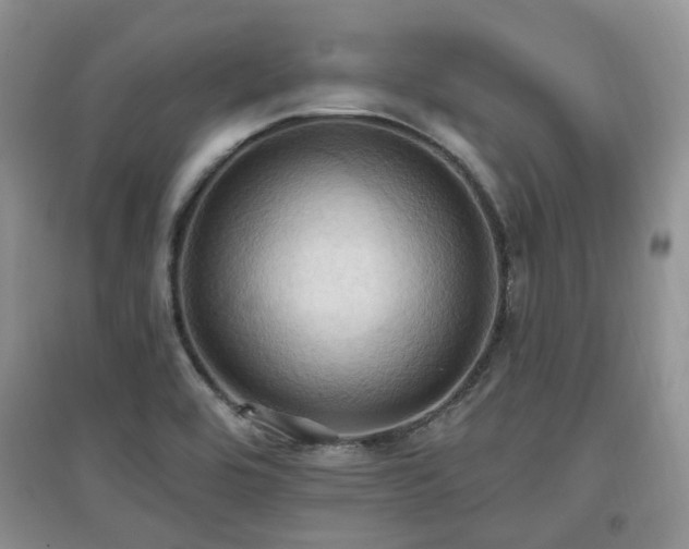 X0000097831464200803141134
