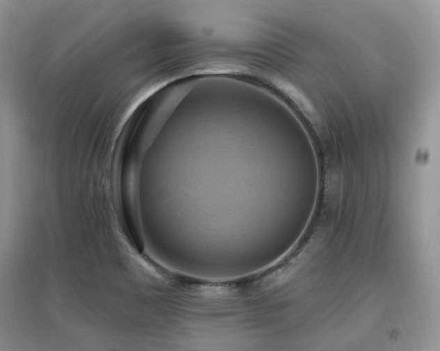 X0000097831465200803141134