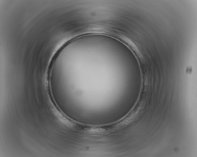 X0000097831466200803141134