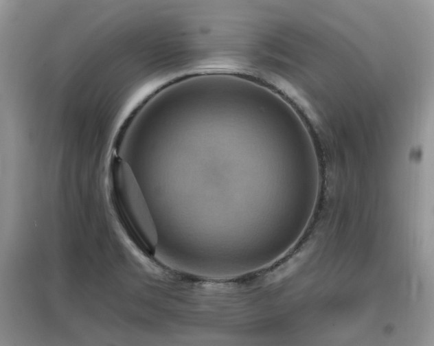 X0000097831469200803141134