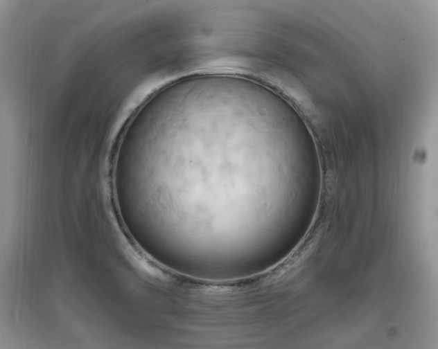 X0000097831470200803141134