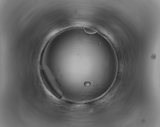 X0000097831471200803141134