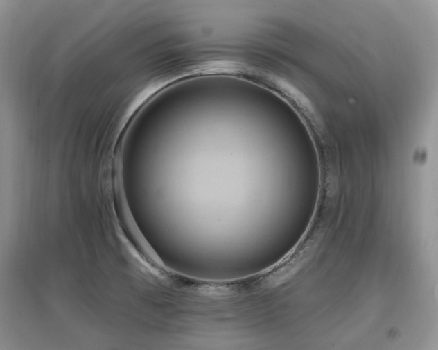 X0000097831473200803141134