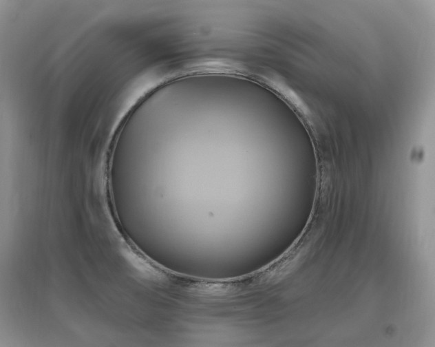 X0000097831474200803141134