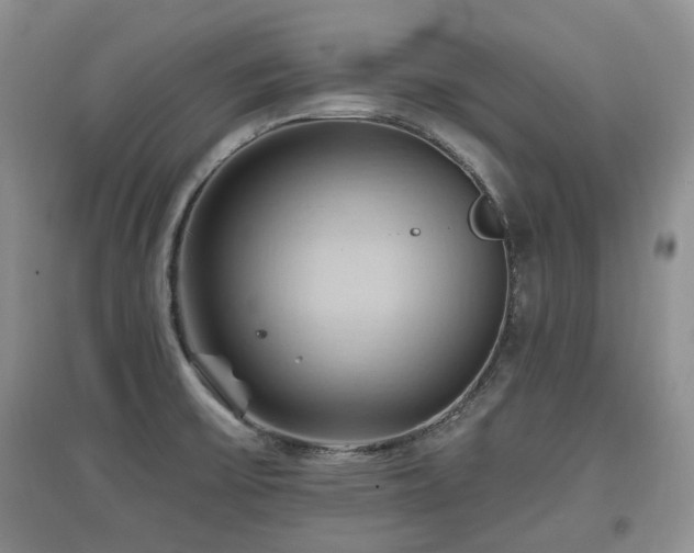 X0000097831475200803141134