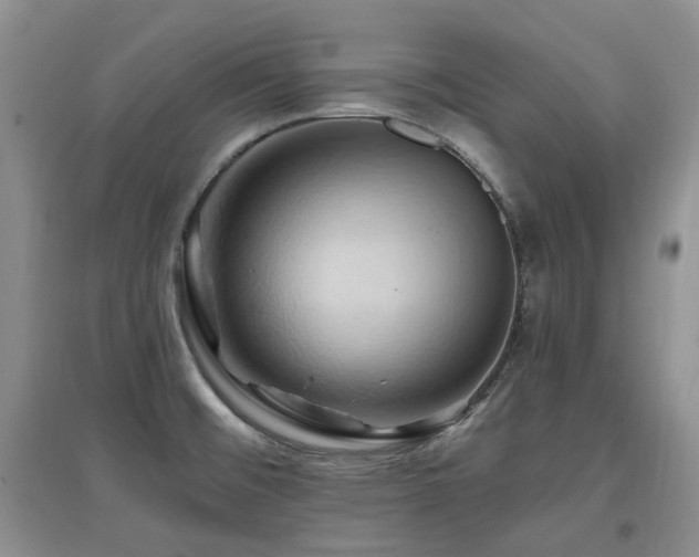 X0000097831476200803141134