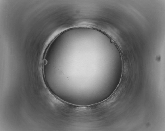 X0000097831478200803141134