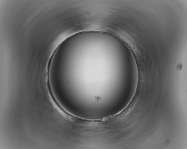 X0000097831479200803141134