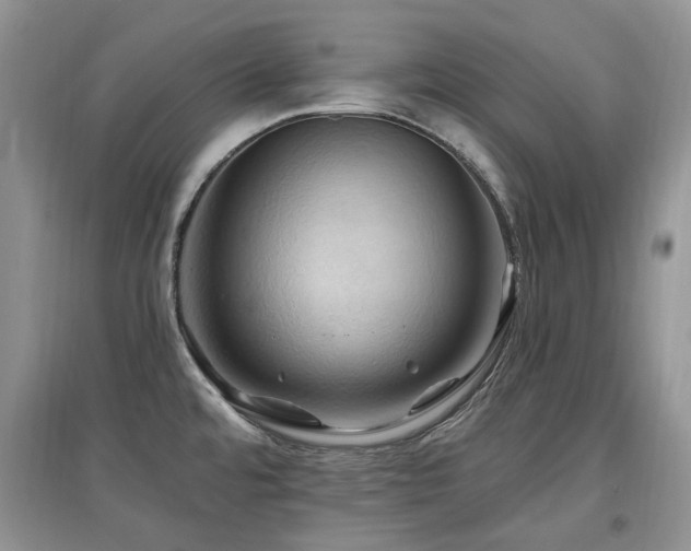 X0000097831480200803141134