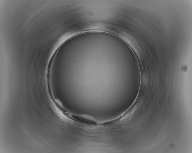 X0000097831482200803141134