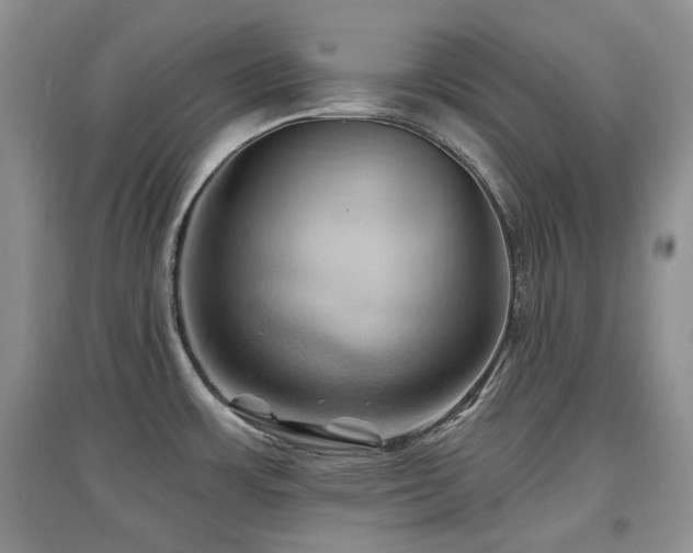 X0000097831483200803141134
