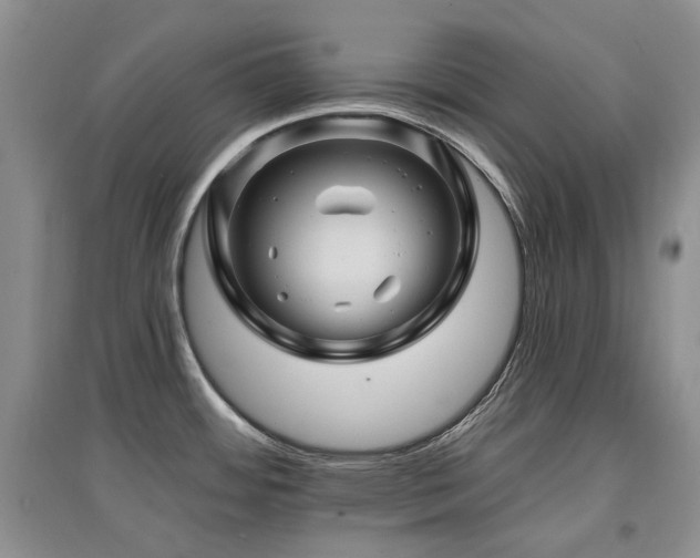 X0000097831484200803141134