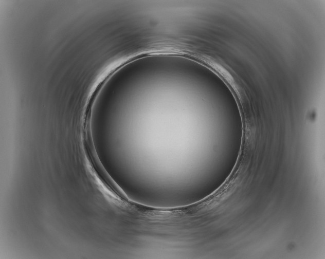 X0000097831485200803141134