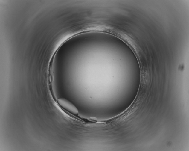 X0000097831487200803141134