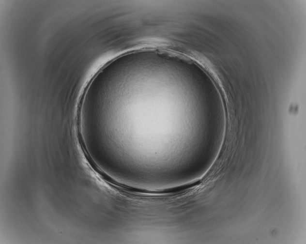 X0000097831488200803141134