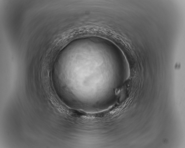 X0000097831489200803141133