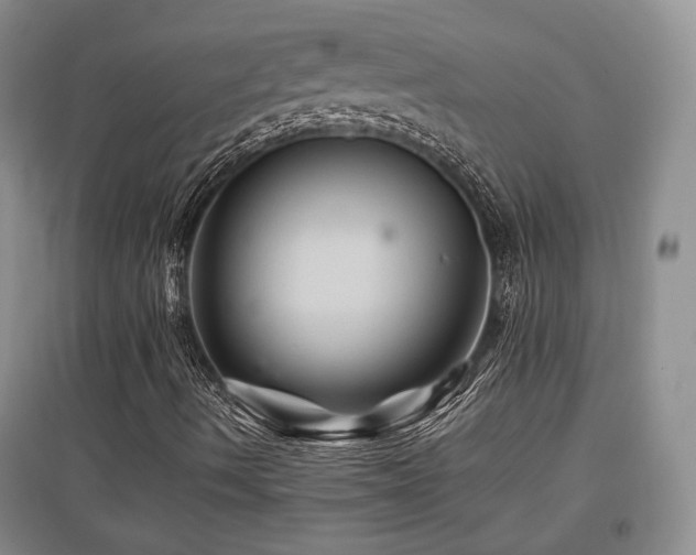 X0000097831490200803141133