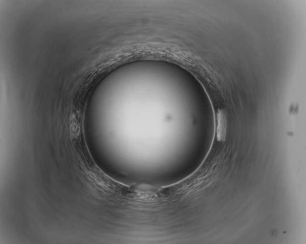 X0000097831491200803141133