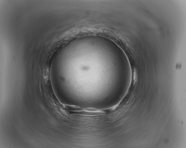 X0000097831492200803141133