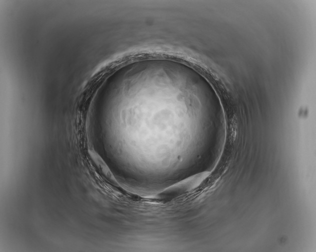 X0000097831494200803141133
