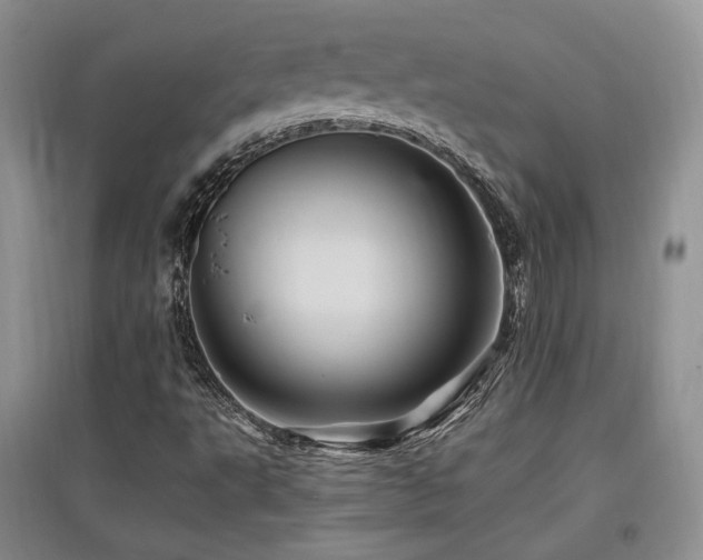 X0000097831495200803141133