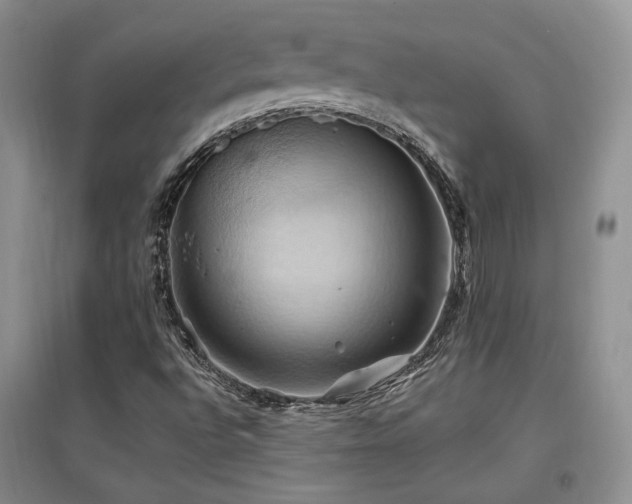 X0000097831496200803141133