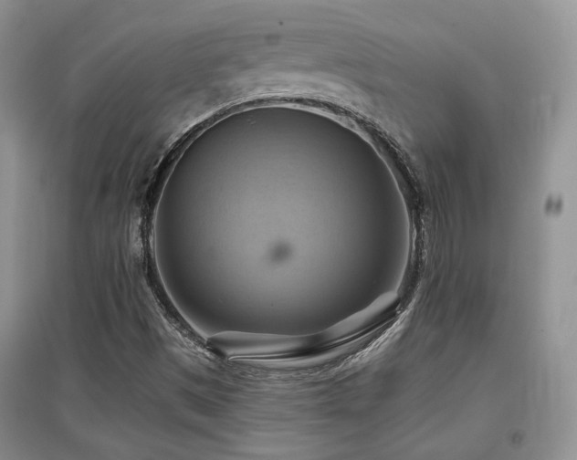 X0000097831497200803141133